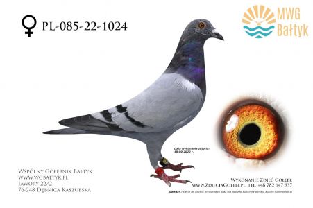 PL-085-22-1024: Barbara R, m.in. 1m. z FINAŁU