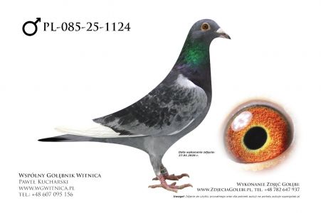 PL-085-25-1124: AleksandraM, 72. Lotnik