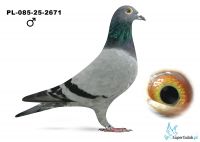PL-085-25-2671