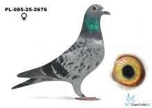 PL-085-25-2676