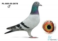 PL-085-25-2678