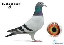 PL-085-25-2678