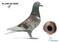 PL-085-25-2680