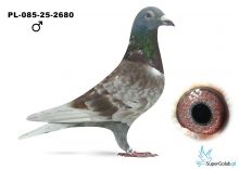 PL-085-25-2680