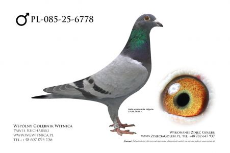 PL-085-25-6778: Dariusz Beil, 51. Lotnik, m in 24m z FINAŁU