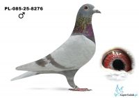 PL-085-25-8276