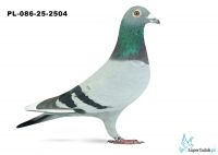 PL-086-25-2504 10. OGRĘG LEGNICA