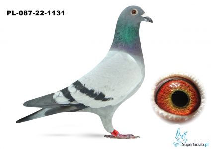 PL-087-22-1131 Kopczaś