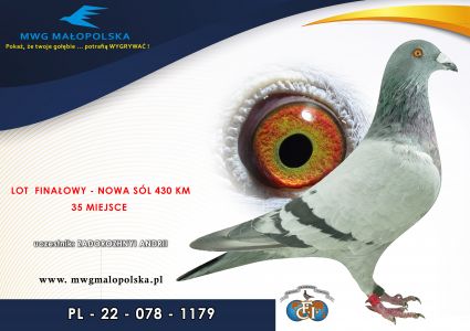 PL 087 22 1179– org. Zadoroznnji & Labuda –  35m – Finał 430km!!! 54m – 3 wyścig !!!  (prawdopodobnie samczyk)