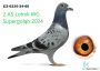 PL-087-24-9500 Wnuczka DV-0516-18-2830 Org. Puttman Super Rozpłodowa oraz Linia Klaas