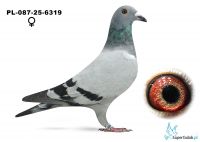 PL-087-25-6319  Mitera Z i M