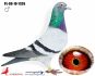 PL-09-19-7326 - org. Sławmir Rogala UNIKAT!!!!!!