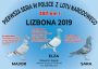 PL-09-19-7326 - org. Sławmir Rogala UNIKAT!!!!!!
