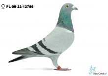 PL-09-22-12786