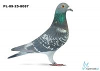 PL-09-25-8087 12. OKRĘG BIAŁA PODLASKA 