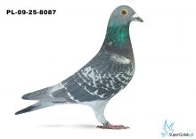 PL-09-25-8087 12. OKRĘG BIAŁA PODLASKA 