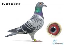 PL-090-23-3048
