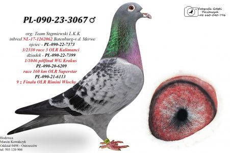 PL-090-23-3067 inbred ,,NEW LAUREAAT