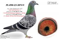 PL-090-23-3074 Vandenabeele / Gino Clique / Hooymans