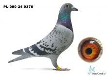 PL-090-24-9376 