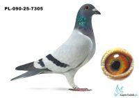 PL-090-25-7305