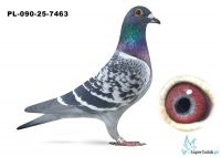 PL-090-25-7463