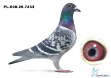 PL-090-25-7463