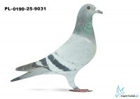 PL-090-25-9031
