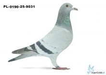 PL-090-25-9031