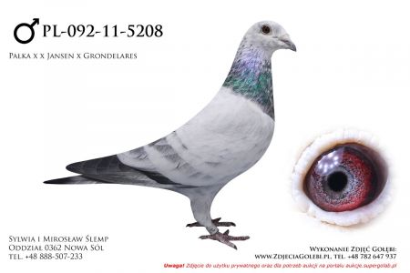 PL-092-11-5208- samczyk