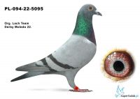 PL-094-22- 5095