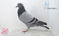 PL-097-18-14663