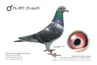 PL-097-25-6625: Lechniak K