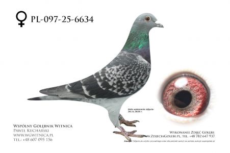 PL-097-25-6634: LechniakK, m in 3m, 32m z FINAŁU