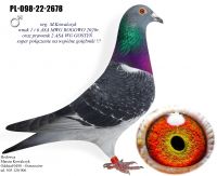 PL-098-22-2678 linia 2 ASA OLR FCI GIEWONT 2025r.