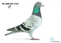 PL-098-25-1001
