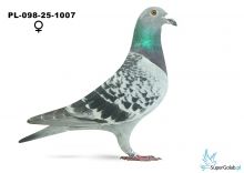 PL-098-25-1007-0