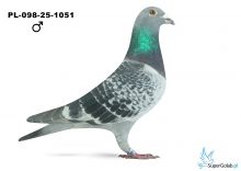 PL-098-25-1051