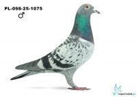PL-098-25-1075