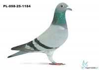 PL-098-25-1184 29. OKRĘG KALISZ 