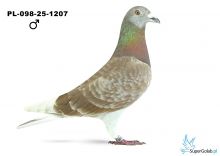 PL-098-25-1207