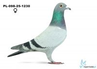 PL-098-25-1230
