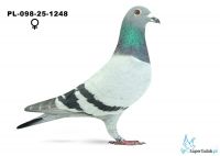 PL-098-25-1248