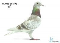 PL-098-25-373