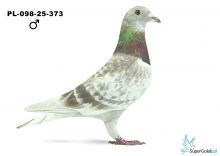PL-098-25-373