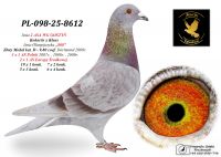 PL-098-25-8612 linia 2 ASA WG GOSTYŃ / inbred ,,808