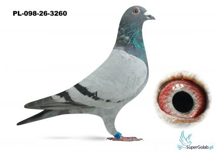 PL-098-26-3260