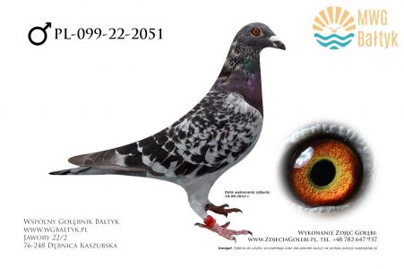 PL-099-22-2051: Zaborowski Henryk, m.in. 83m. z FINAŁU