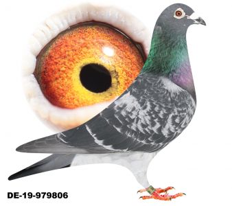 PL-19-979806-Tomasz Rumiński