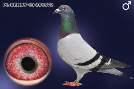 PL-19-Derby-351572 Wnuk Trzech Olimpijczyków